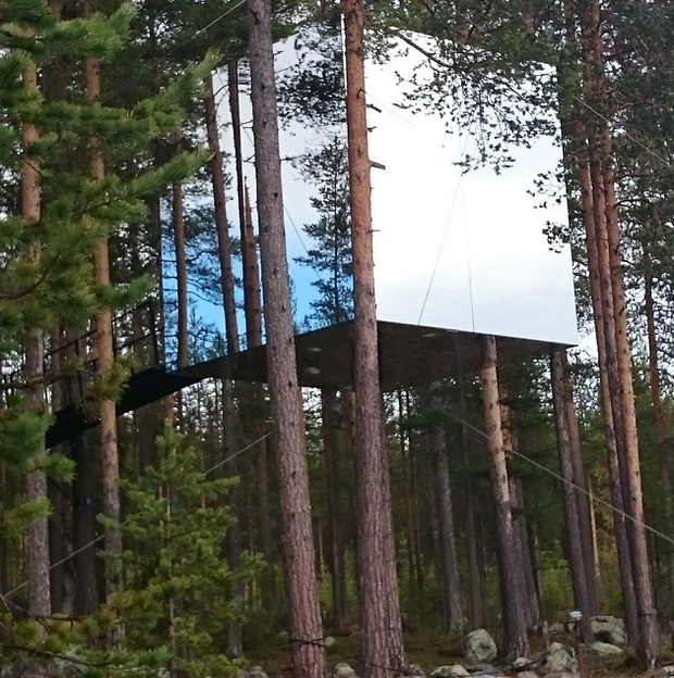 Tree Hotel - hotel z pokojem na drzewie