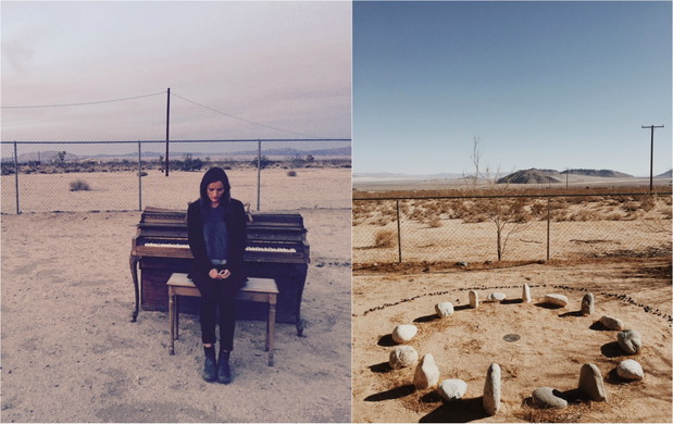 8. Desert Life