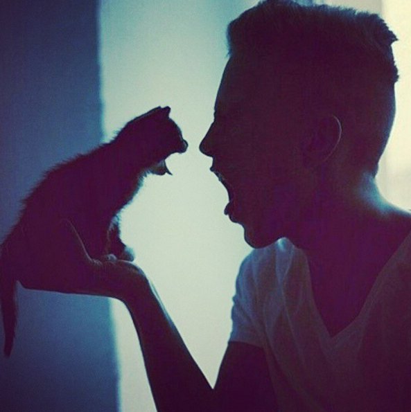 #HotDudesWithKittens - kolejny profil, który podbija Instagram