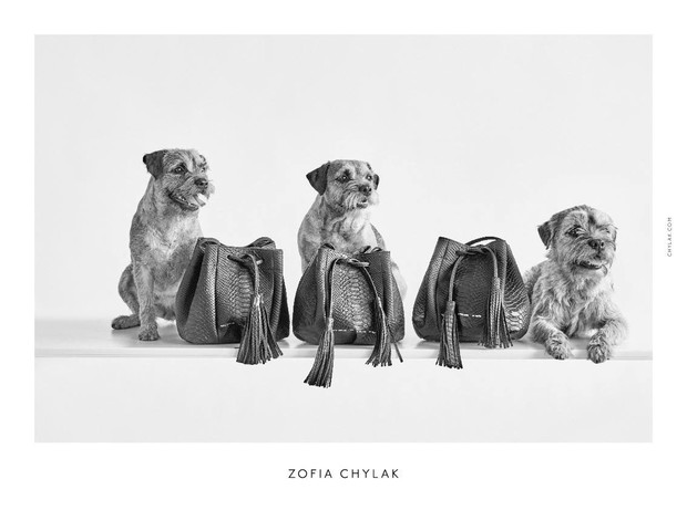 Kampania torebek Zofia Chylak 2016