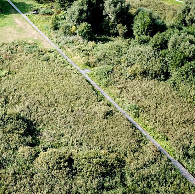 Instalacja przestrzenna Pawła Grobelnego w Wielkopolsce