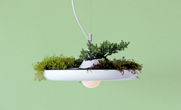Kwitnące lampy, fot. mat. pras. Objectinterface