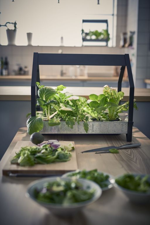 Nowy koncept IKEA: domowy ogródek