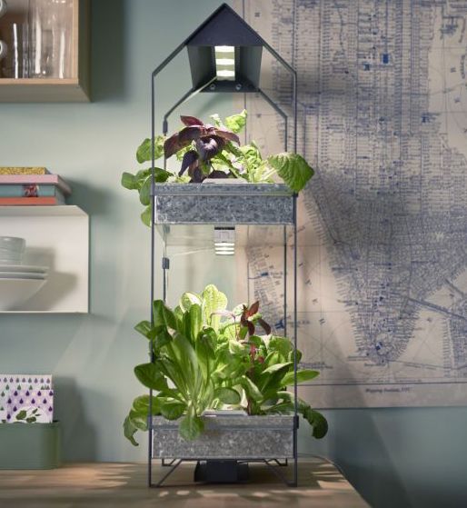 Nowy koncept IKEA: domowy ogródek