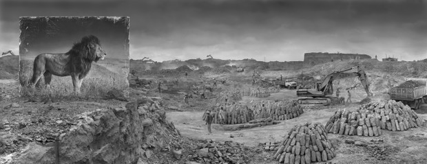 Poruszające zdjęcia ginących gatunków zwierząt autorstwa Nicka Brandta, fot. Nick Brandt