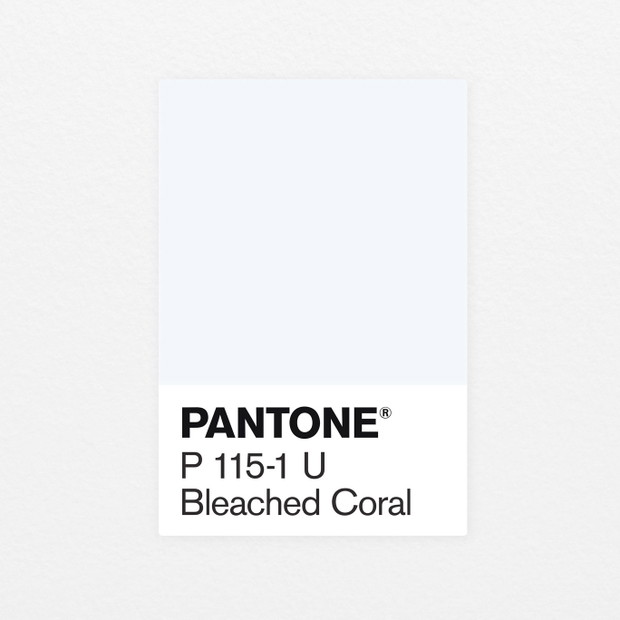 Bleached Coral, Jack+Huei