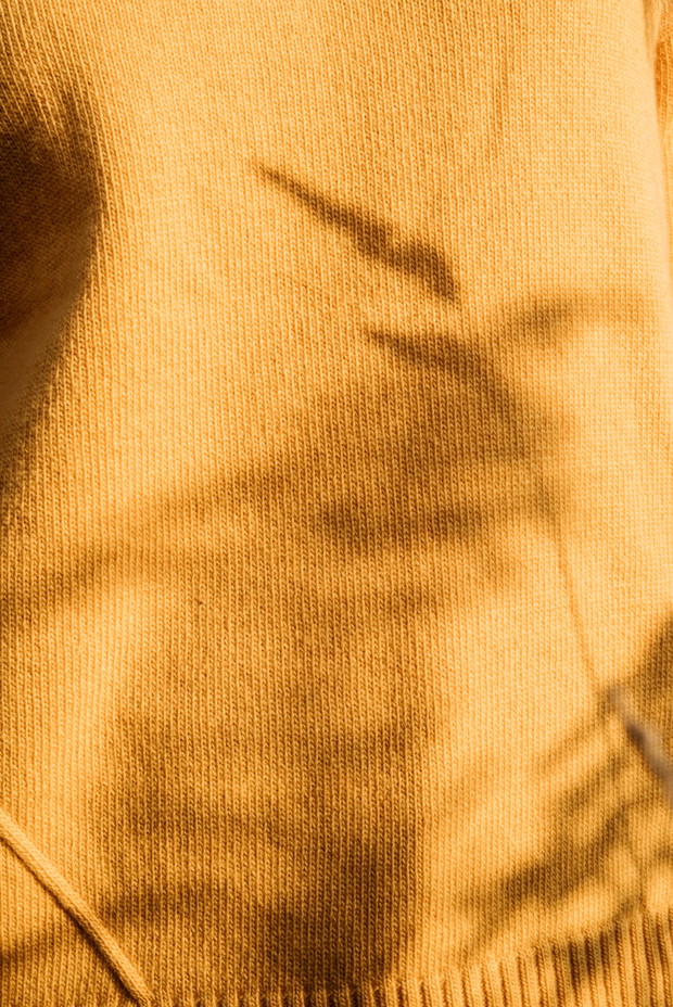 VEVA
