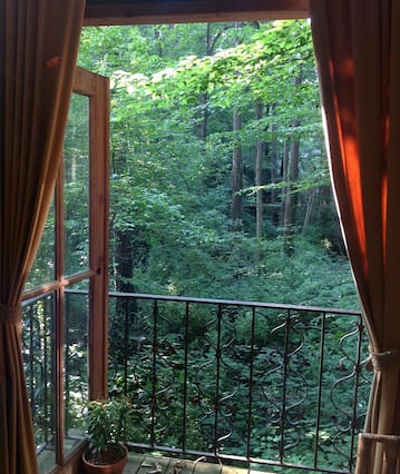 Domek na drzewie pod Atlantą, najpopularniejszy na Airbnb