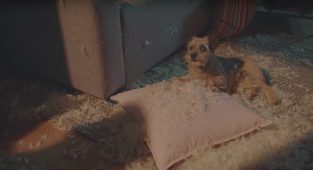 Fisz w reklamie IKEA