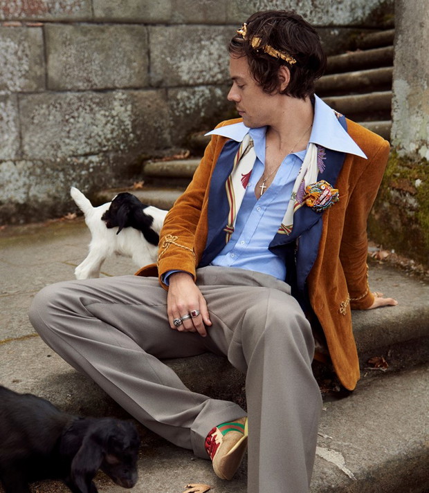 Harry Styles w kampanii Gucci