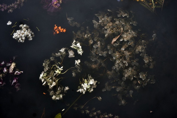 Flora_Material