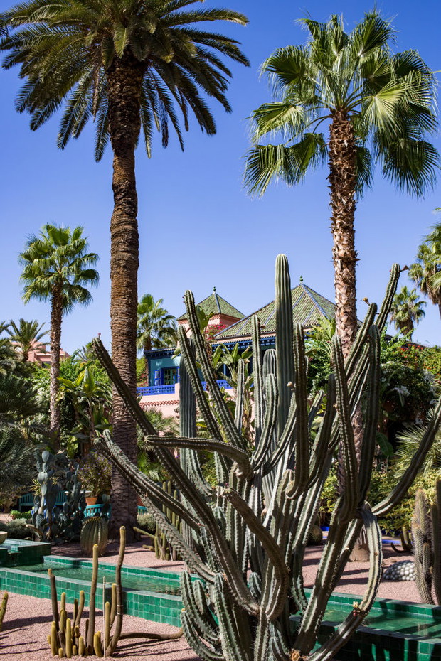 Jardin Majorelle