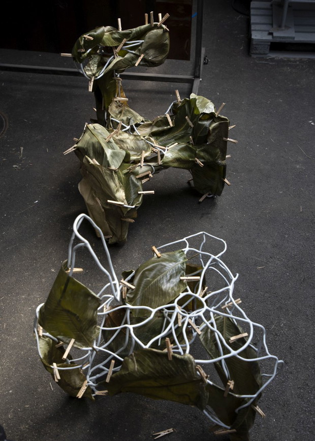 Protoplasting_Nature
