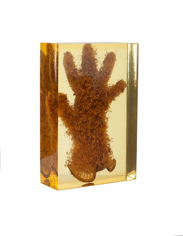 Teresa Murak – Obiekt, 1975-76