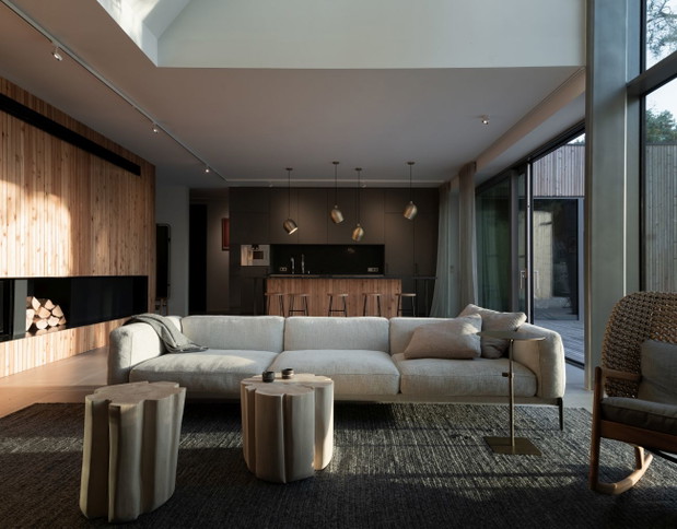 UGO Lake House, projekt: UGO