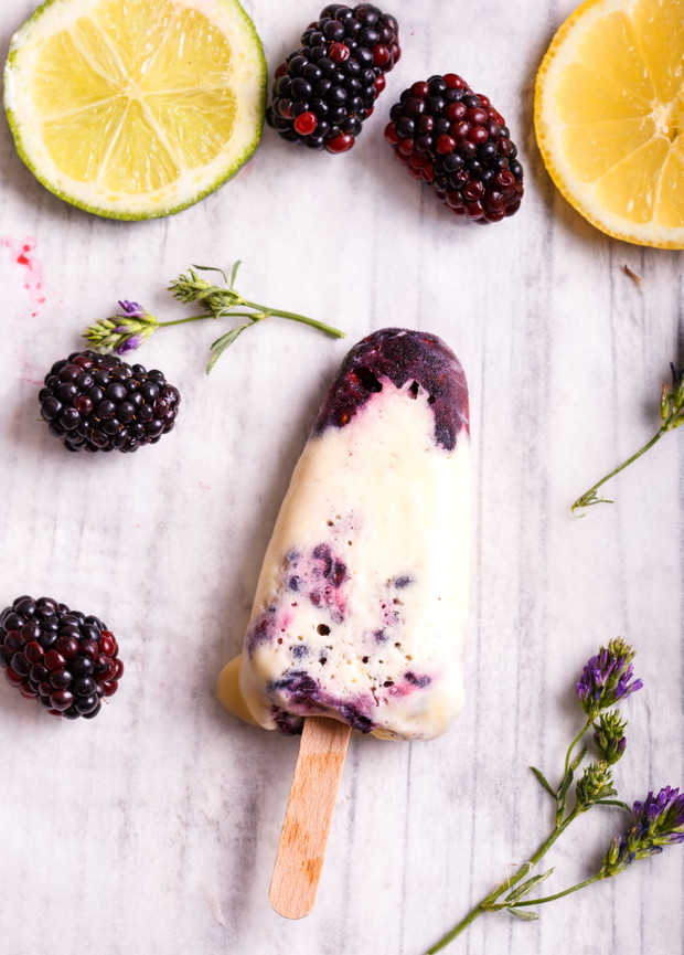 Przepisy na domowe lody: lody jogurtowe z jagodami