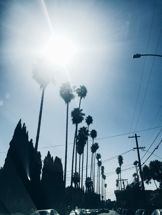 Erdem x H&M - pokaz w Los Angeles