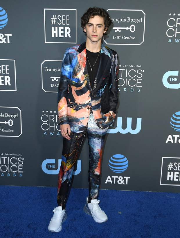 Critics' Choice Awards 2019: Timothee Chalamet