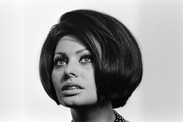 Sophia Loren