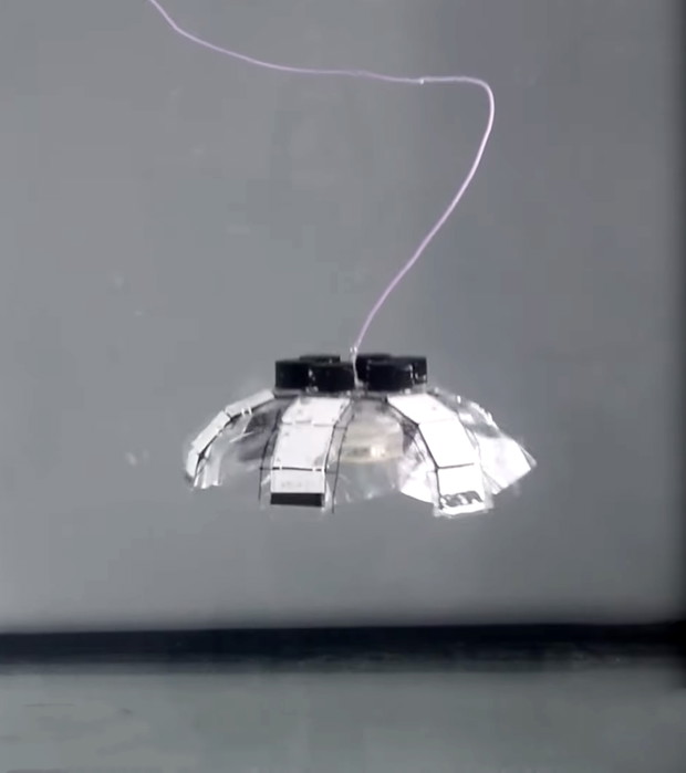 Jellyfish-Bot