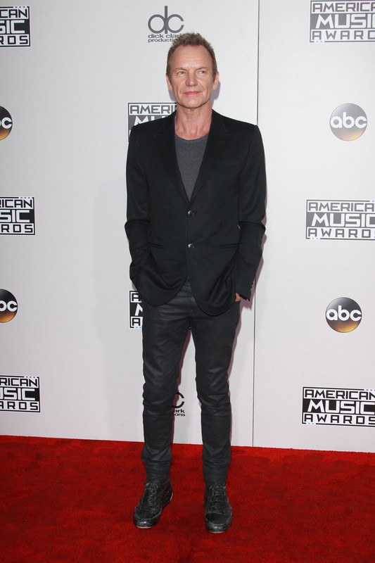 Gwiazdy na American Music Awards 2016