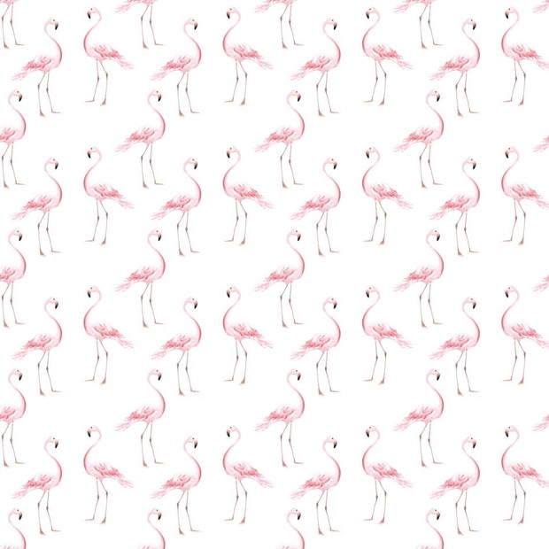Tapeta z flamingami, Dekornik, 119 zł za metr kwadratowy