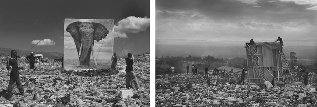 Poruszające zdjęcia ginących gatunków zwierząt autorstwa Nicka Brandta, fot. Nick Brandt (te fotografie pokazują jak powstają niezwykłe kadry Brandta)