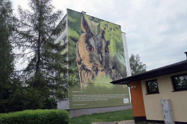 Ptasie Murale w Lubinie