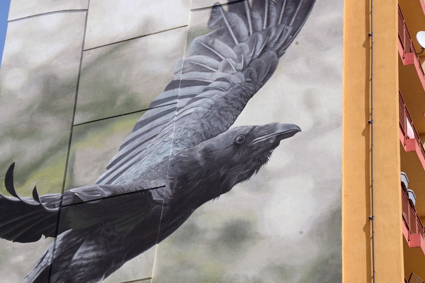 Ptasie Murale w Lubinie