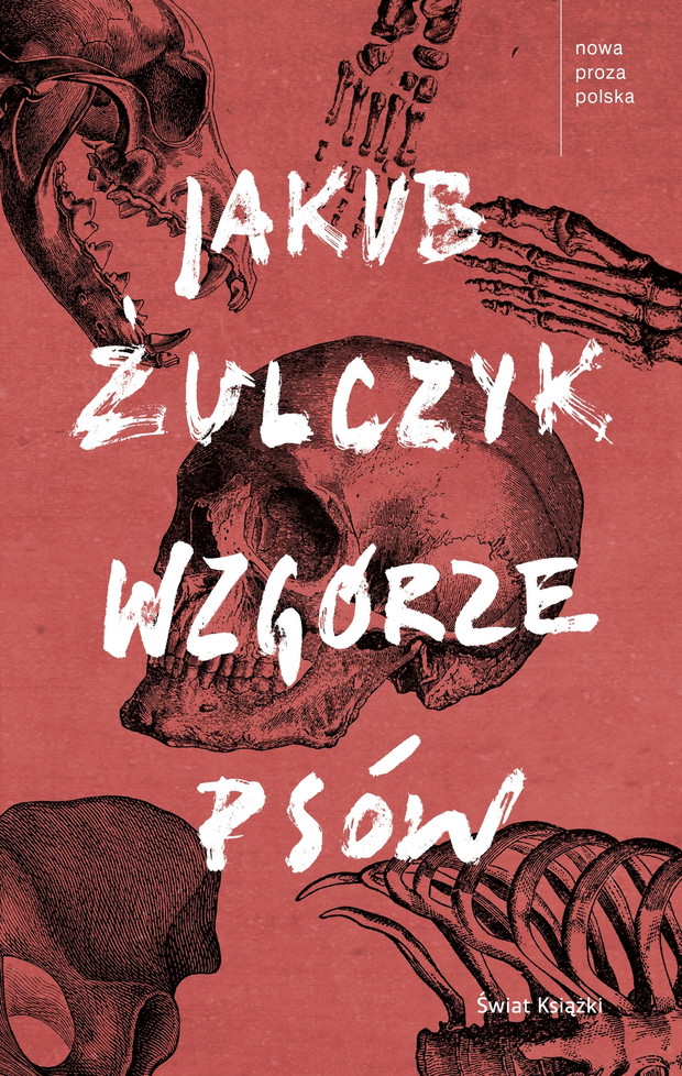 Książka Jakub Żulczyk Wzgórze psów