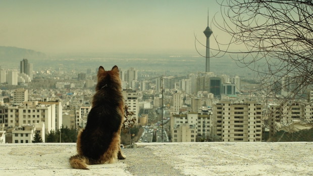 Już jutro zaczyna się 29. Warszawski Festiwal Filmowy