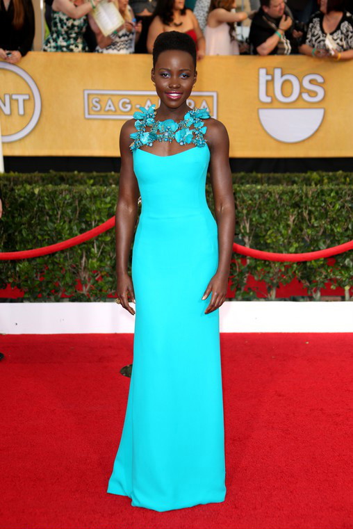 SAG Awards 2014