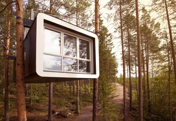 Tree Hotel - hotel z pokojem na drzewie
