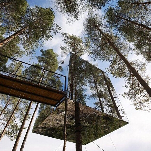 Tree Hotel - hotel z pokojem na drzewie