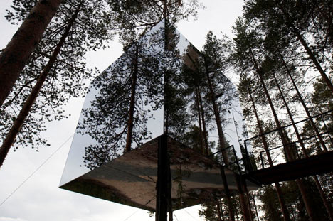 Tree Hotel - hotel z pokojem na drzewie