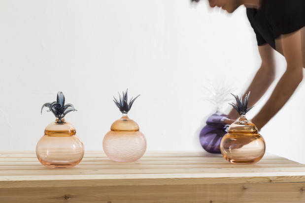Ananasy proj. Tadeáš Podracký, fot. mat. pras.   