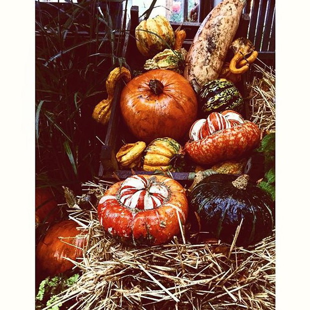 #HalloweenHome - dekoracje na Halloween