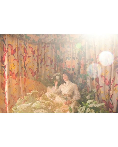 Ilustracje Gucci Bloom
