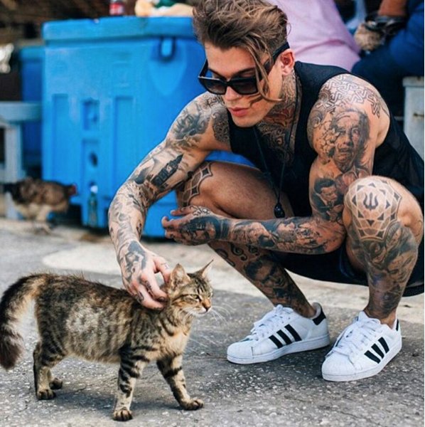 #HotDudesWithKittens - kolejny profil, który podbija Instagram