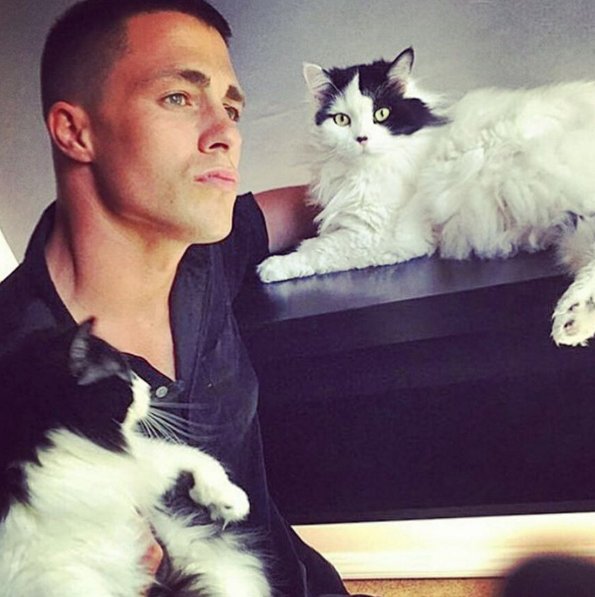 #HotDudesWithKittens - kolejny profil, który podbija Instagram