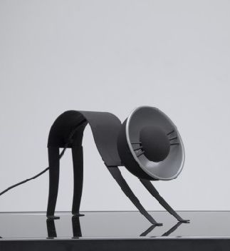 Dzień Kota w świecie designu