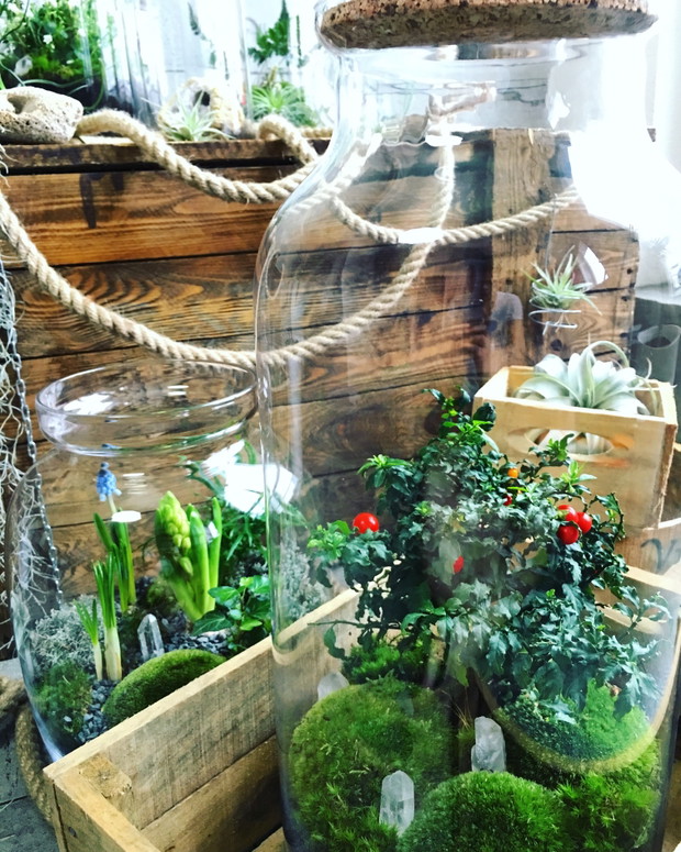 Małe ogrody Greenbells