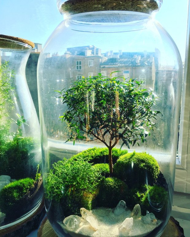 Małe ogrody Greenbells