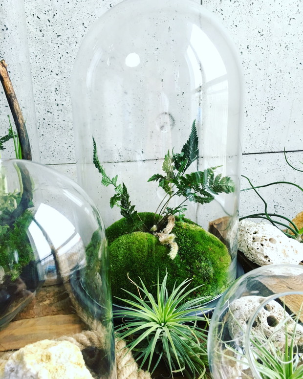 Małe ogrody Greenbells