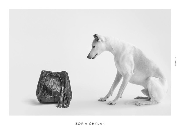 Kampania torebek Zofia Chylak 2016