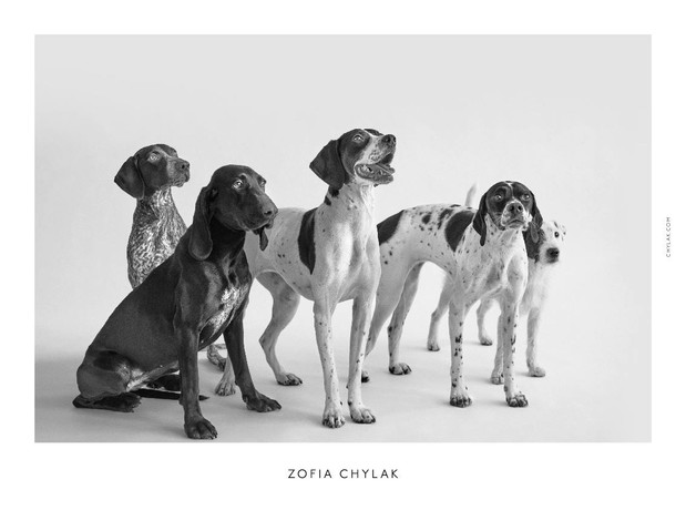 Kampania torebek Zofia Chylak 2016