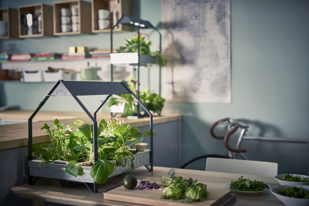 Nowy koncept IKEA: domowy ogródek