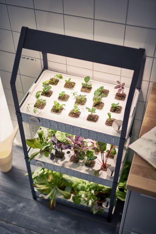 Nowy koncept IKEA: domowy ogródek
