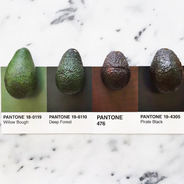 #pantoneposts - jaki kolor mają owoce i warzywa?