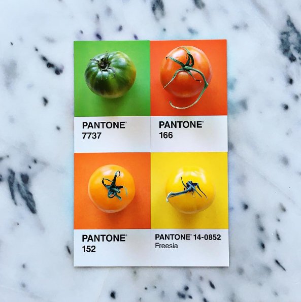 #pantoneposts - jaki kolor mają owoce i warzywa?